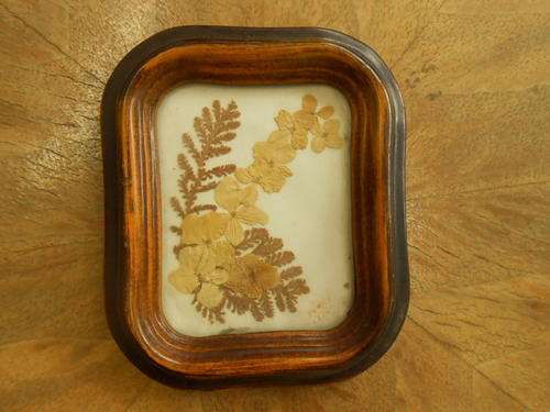 Vintage Framed Pressed Flowers (9 x 11cm)